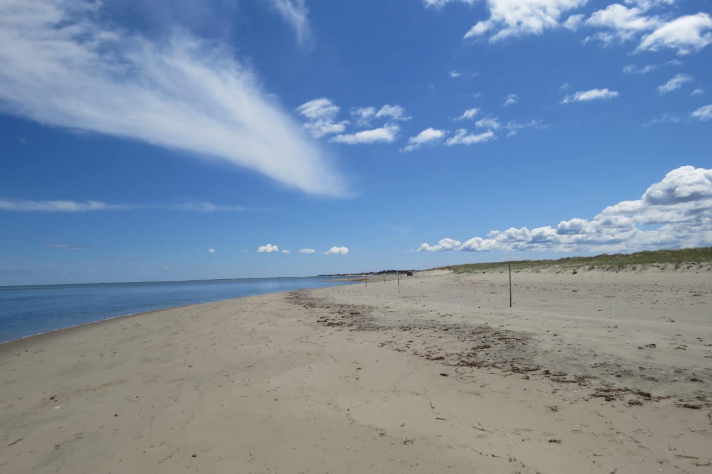 Eel Point | Nantucket Conservation Foundation