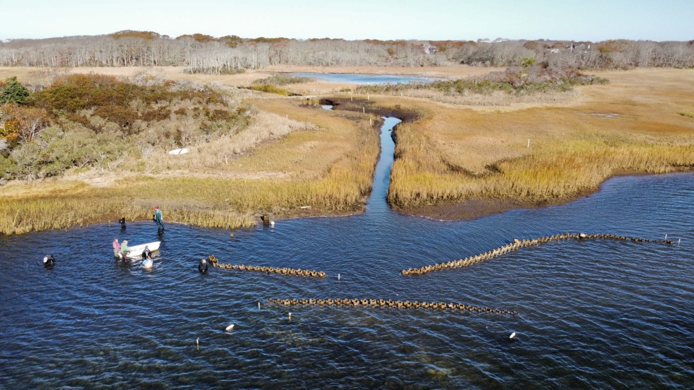 Oyster Castles Fighting Climate Change on Nantucket Island Nantucket