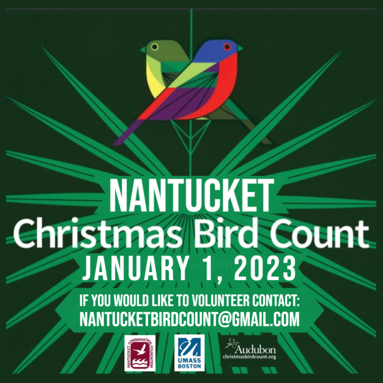 christmas-bird-count-with-ncf-umass-1123-1-nantucket-conservation-foundation