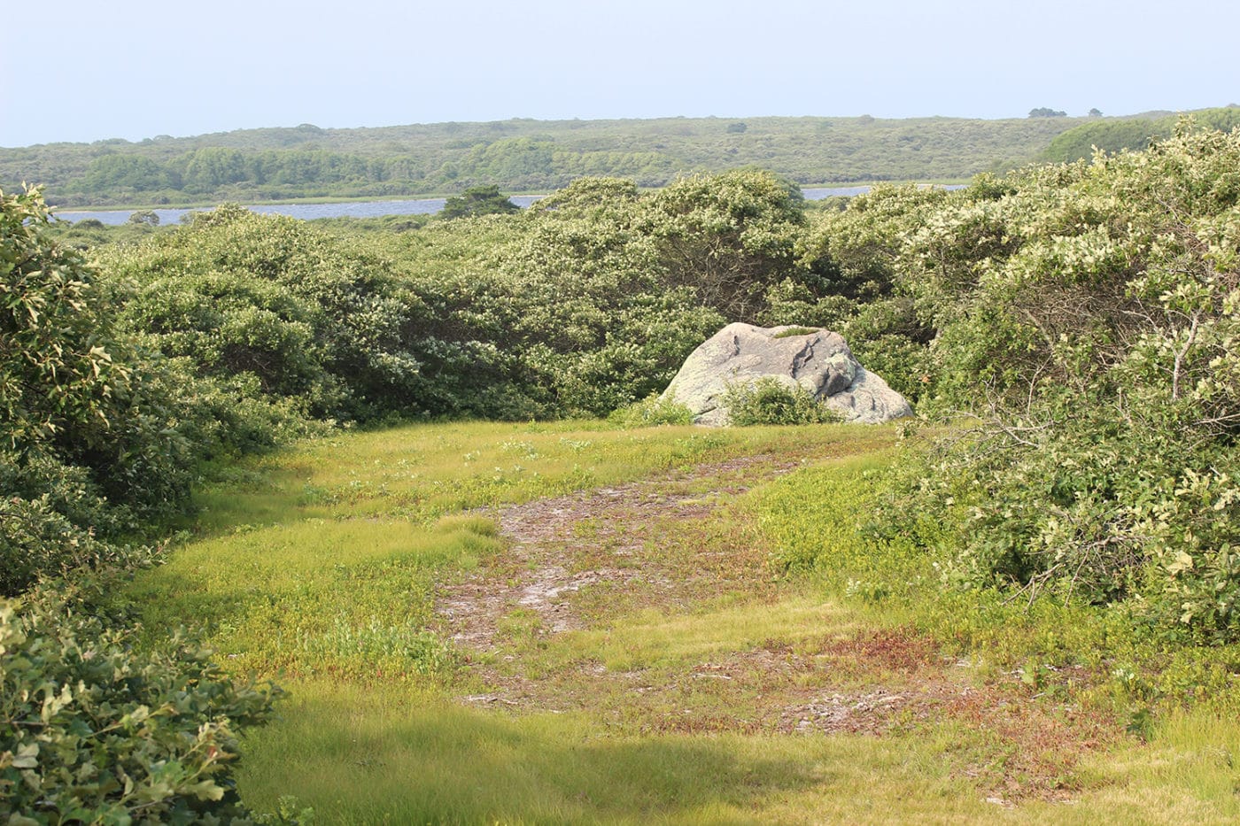 Events | Nantucket Conservation Foundation